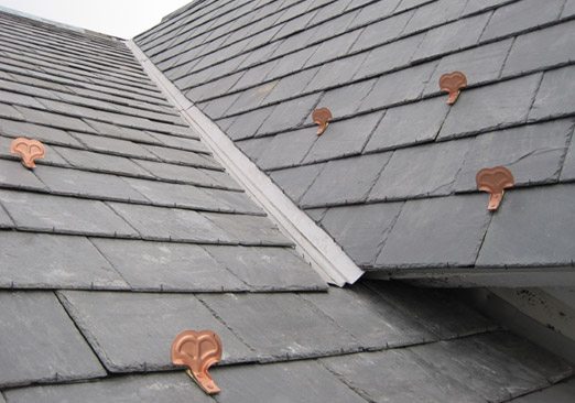 Professional Roof Consultation