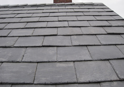 Professional Roofing Services