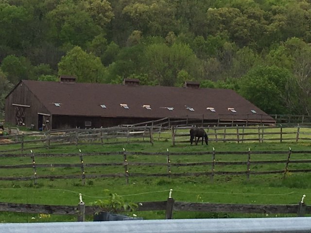 Professional Roofing