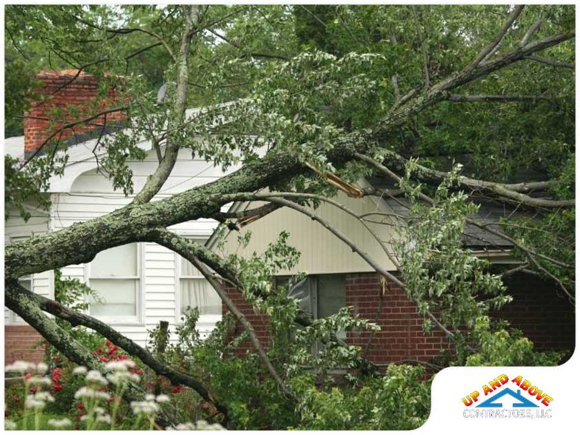 How To Get Rid Of Odors Coming From Under The Deck