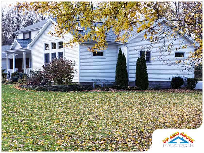 3 Types Of Deck Patterns To Consider