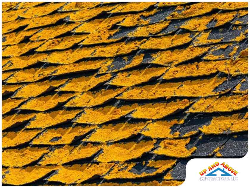 3 Types Of Deck Patterns To Consider