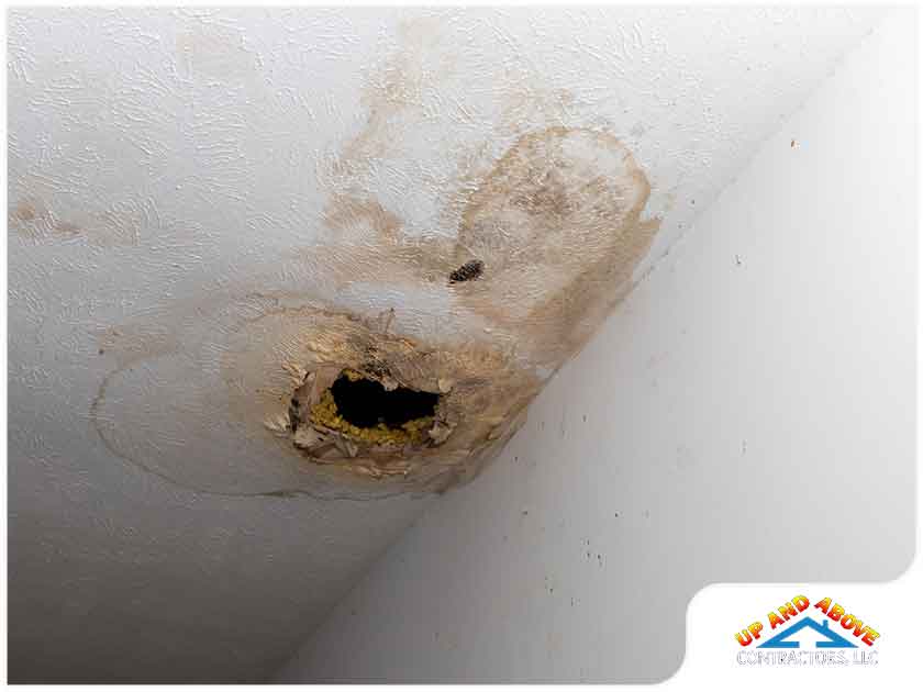 What Are The Damaging Effects Of Moisture On Your Roof