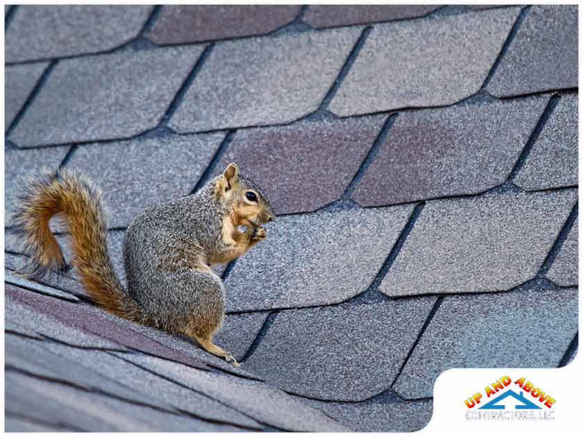 Winter Roof Maintenance Mitigate Damage With These Tips