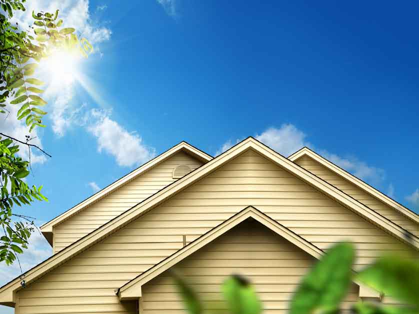 5 Ways Trees Can Damage Your Roof And Home