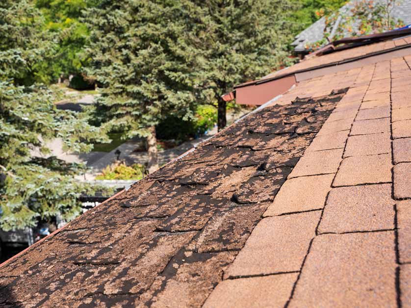 Climate As One Of The Factors In Choosing Siding