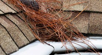 Damaging Debris: Worst Offenders for Your Roof