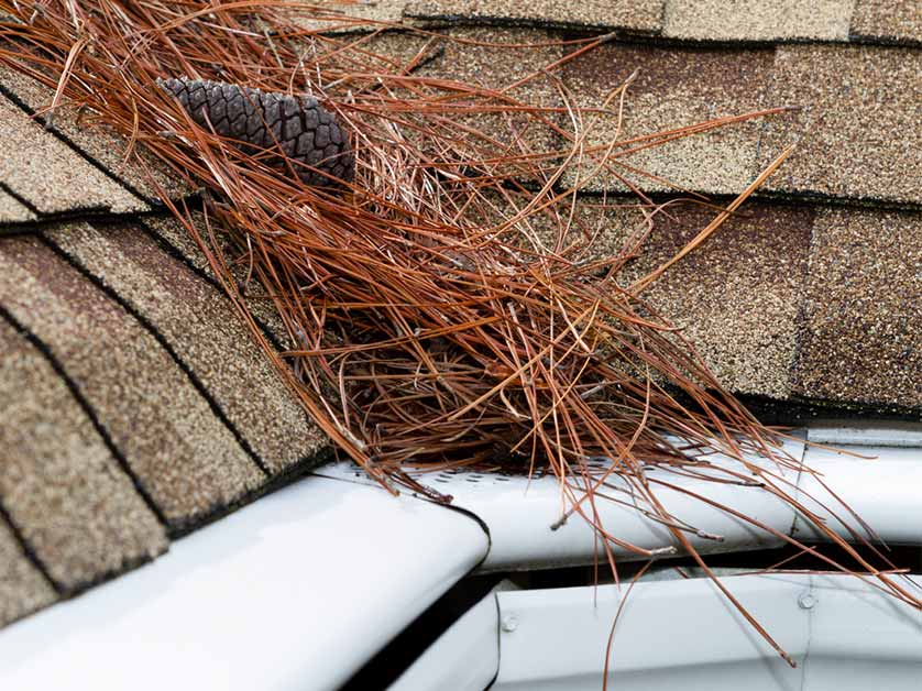 Damaging Debris Worst Offenders For Your Roof