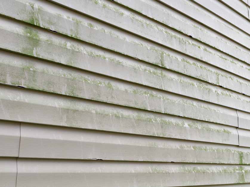 Damaging Debris Worst Offenders For Your Roof