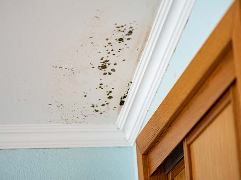 6 Common Issues Caused By Poor Roofing Ventilation