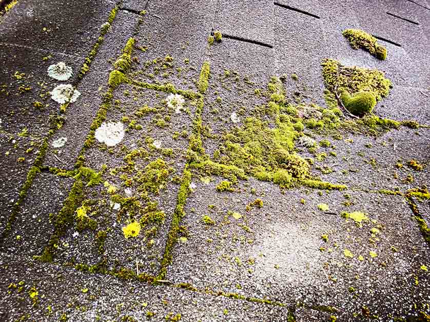 Storm Damage And Roofing Warranties What You Need To Know