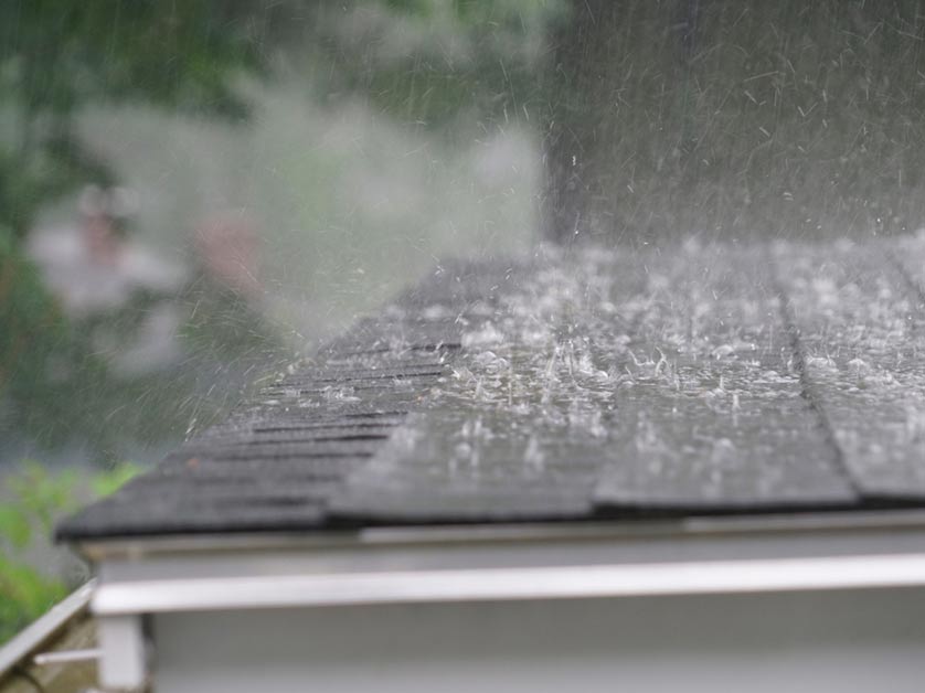 5 Ways Trees Can Damage Your Roof And Home